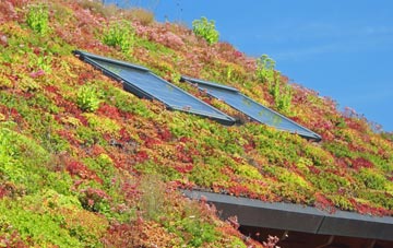 Kelsall living roof systems