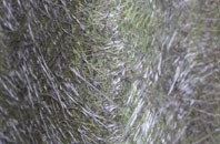 Kelsall fibreglass roof work